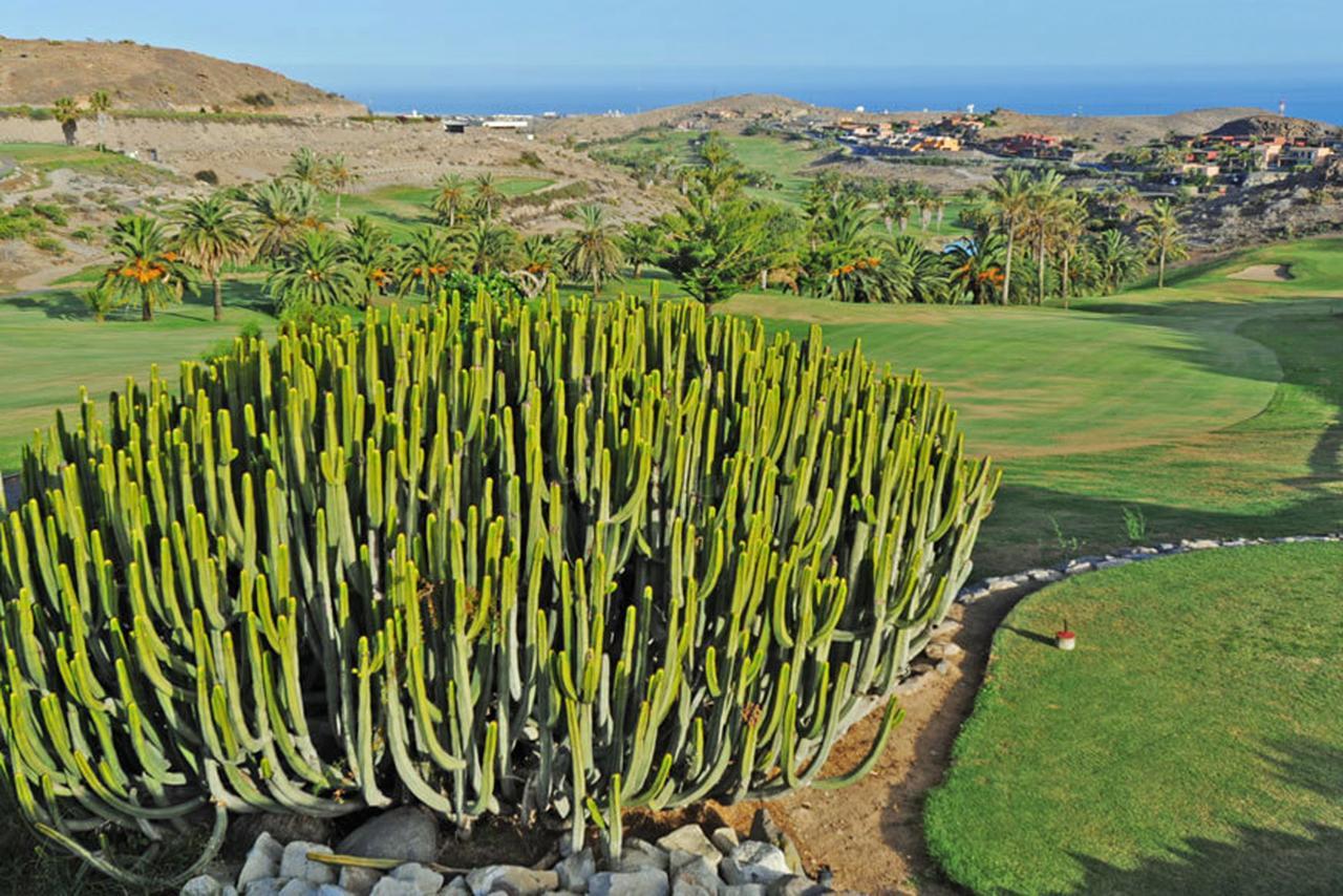 Salobre Las Terrazas 10 Maspalomas  Exterior foto